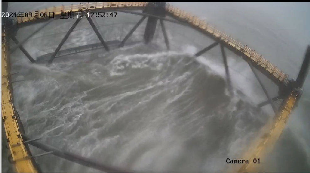 堅如磐石！公司網箱以硬實力抵御17級臺風，憑技術創(chuàng)新力保養(yǎng)殖安全