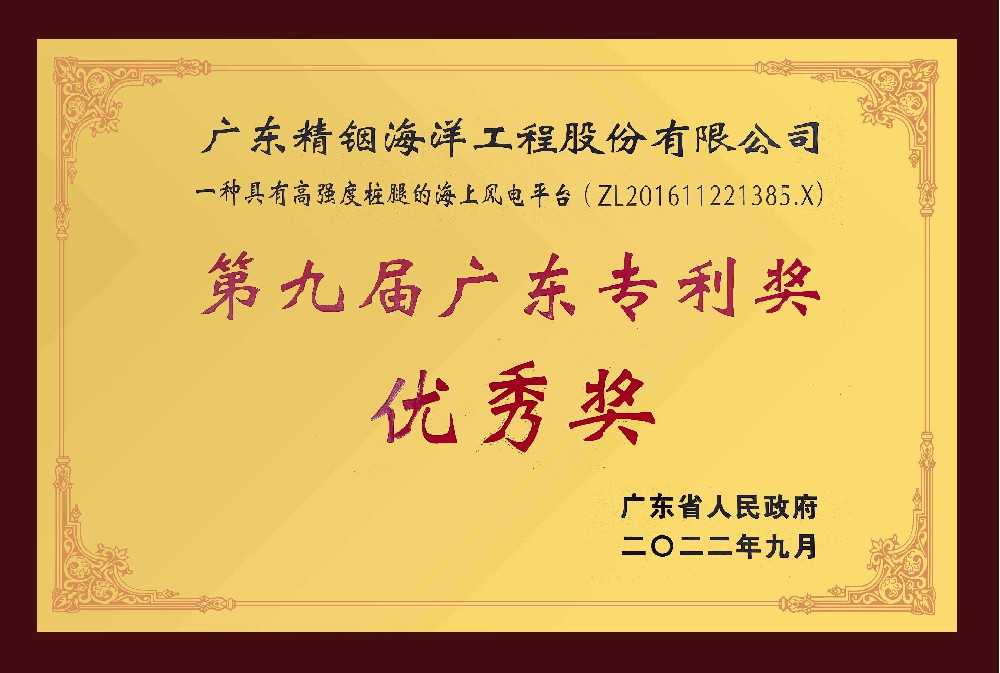第九屆廣東專利優(yōu)秀獎(jiǎng)